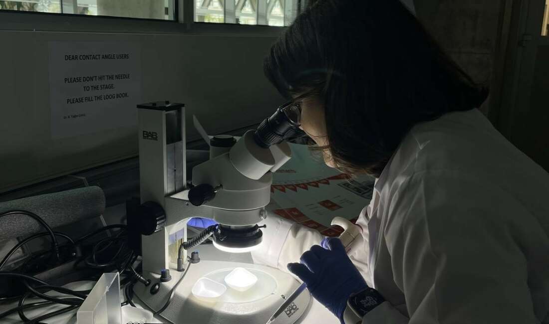 Bursa Uludağ Üniversitesi'nden Prof. Dr.