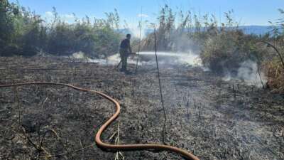 İznik Boyalıca’da sazlık alanda yangın: 100 dönüm alan küle döndü
