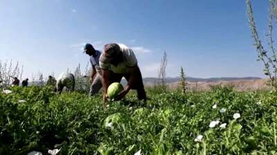 Karpuzun fiyatı 70 kilometrede 30’a katlanıyor
