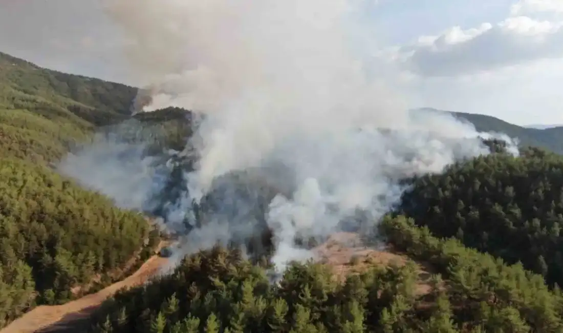 Kastamonu ile Karabük sınırında