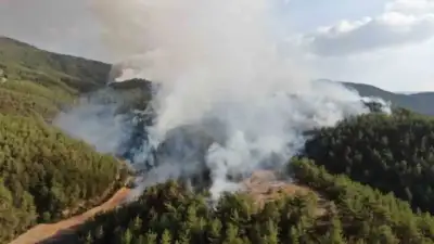 Kastamonu-Karabük sınırında iki orman yangını: 9 köy tahliye edildi