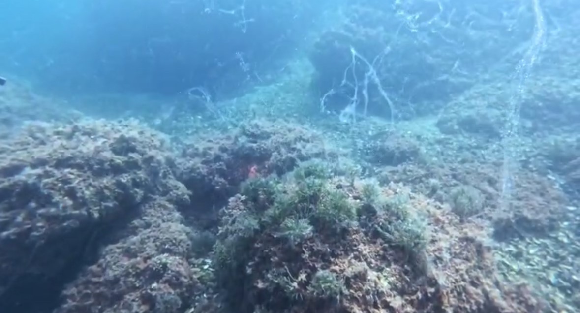 Marmara Denizi’nde yeni müsilaj alarmı