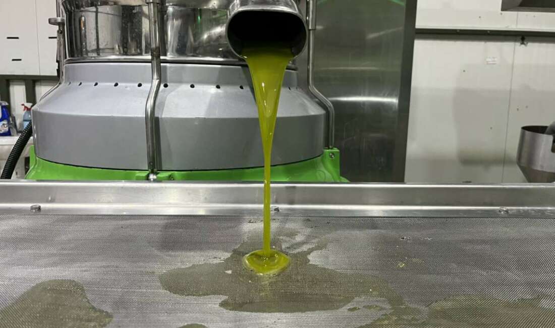 Bursa’nın İznik ilçesinde, Marmara