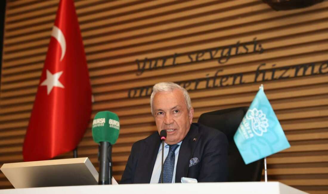 Nilüfer Belediye Meclisi, üniversite