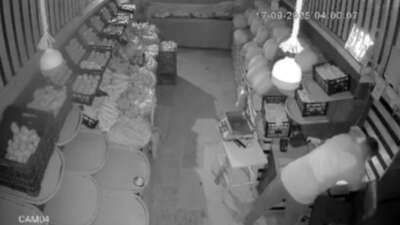 Önce paraları sonra meyveleri çalan şüpheli kamerada