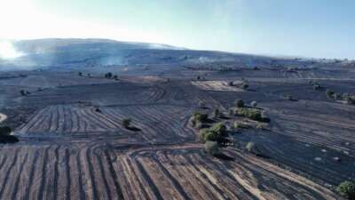 Uzmanı uyardı: “Orman yangınlarına karşı topraktaki nem kapasitesini arttırmalıyız”