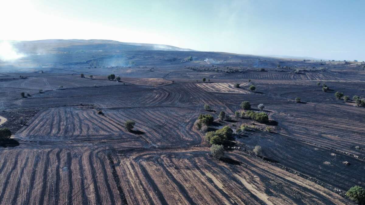 Uzmanı uyardı: “Orman yangınlarına karşı topraktaki nem kapasitesini arttırmalıyız”