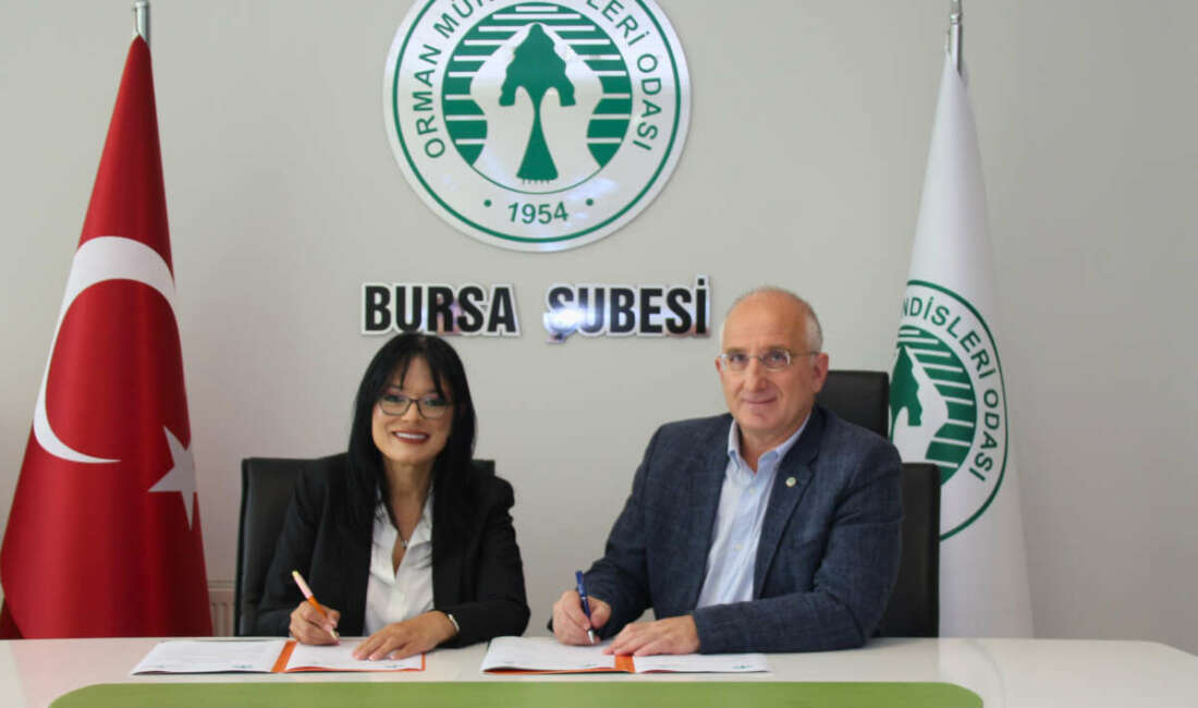 Bursa Sağlık ve Eğitim