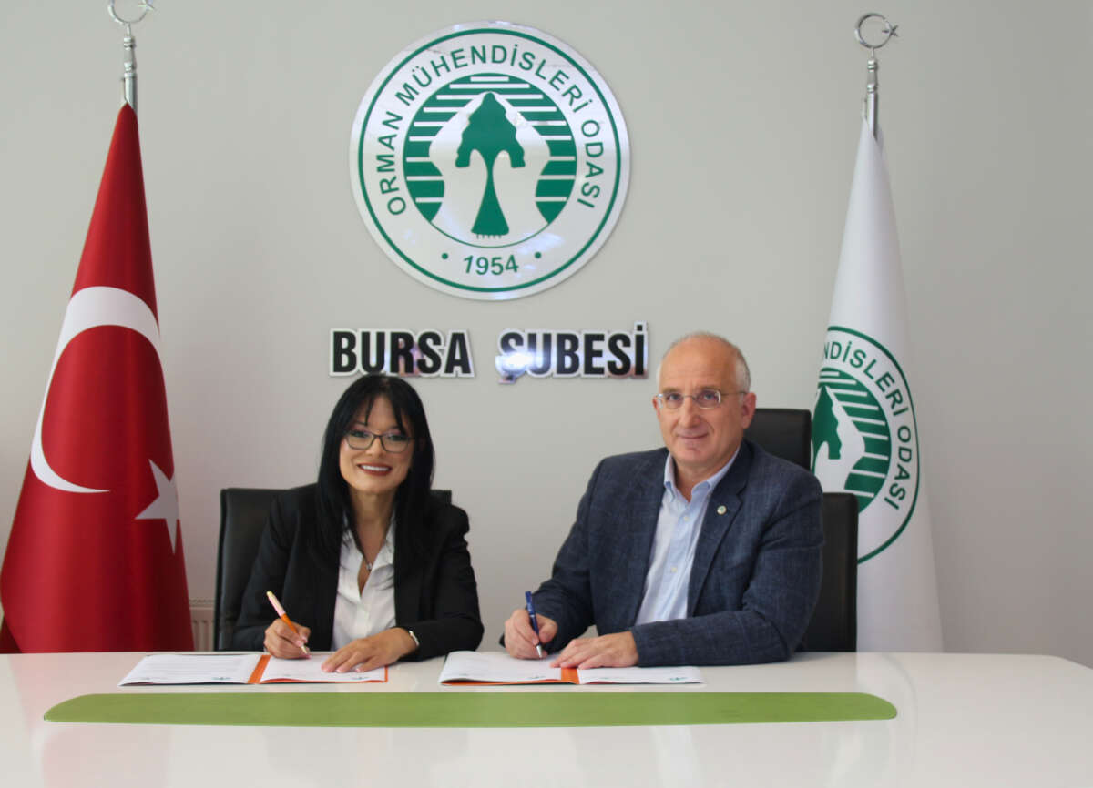 Ormanları korumak için örnek işbirliği