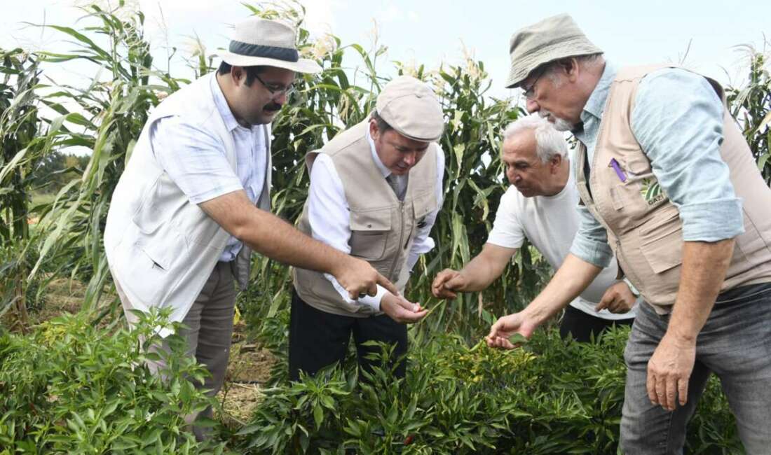 Osmangazi Belediyesi iştiraki olan 