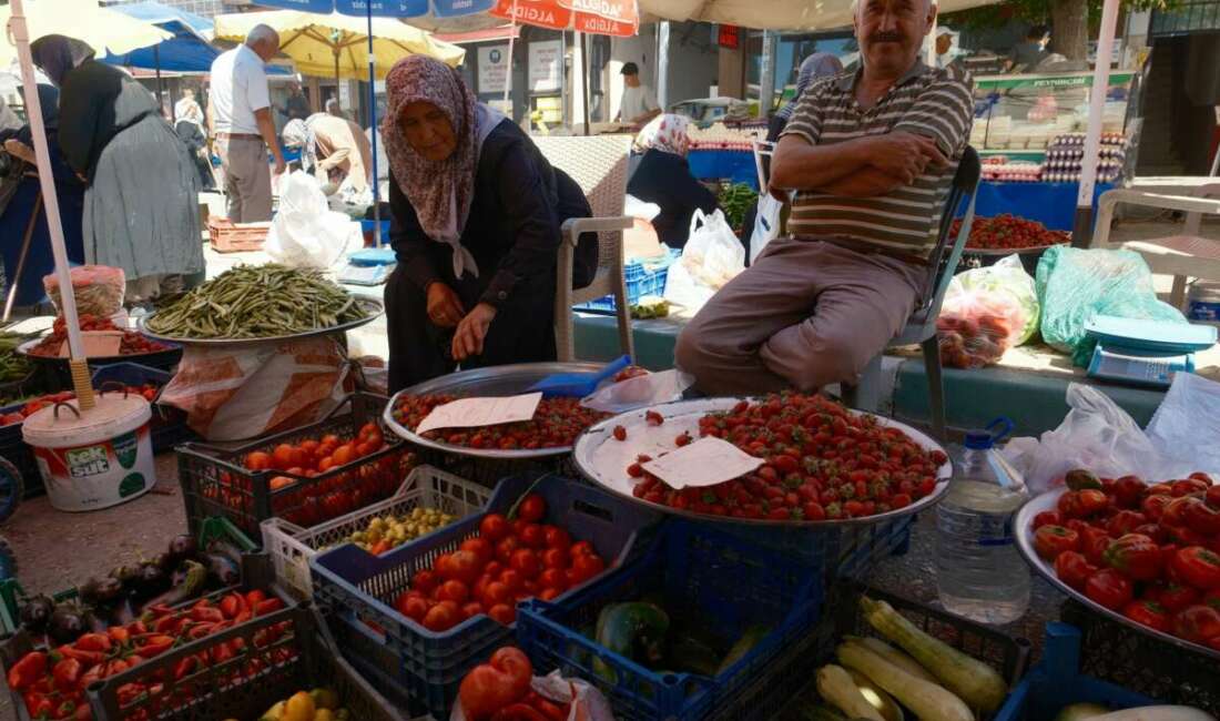 Bursa'nın Orhaneli ilçesindeki Beyce