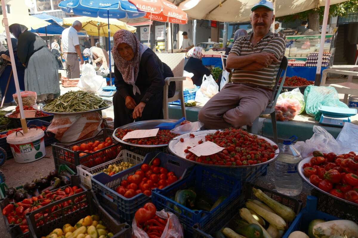 Peynir altı suyundan yaptıkları gübreyle ilaçsız üretip 700 yıllık pazarda satıyorlar