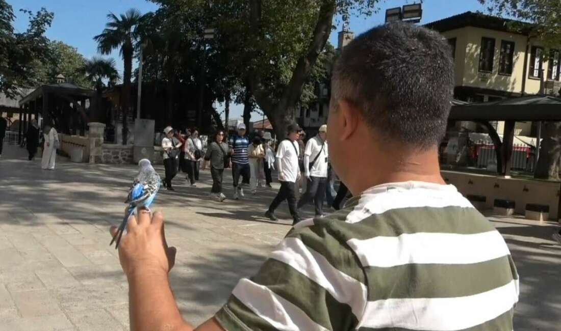 Bursa'da sahibinin omzunda ve