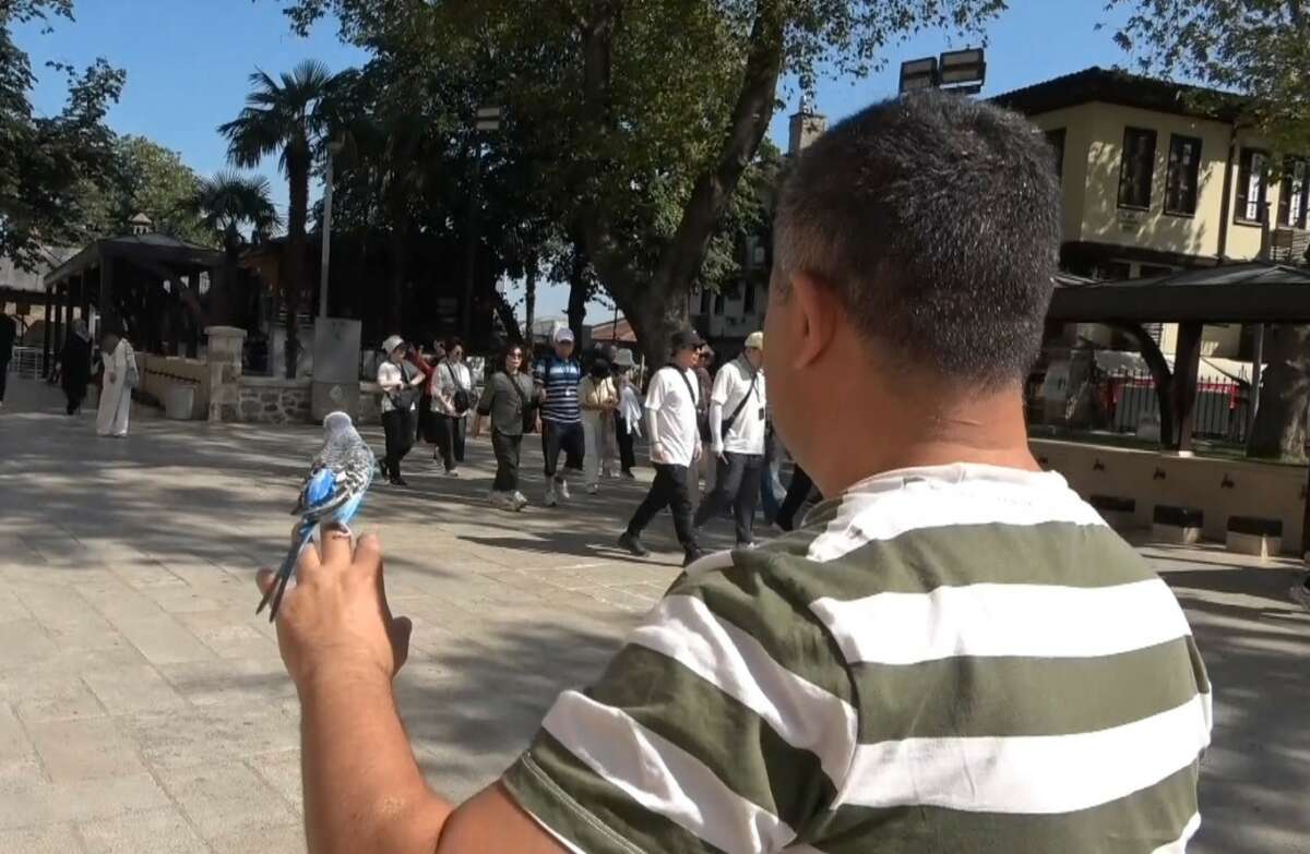 Sahibinin omzunda ve elinde çarşıyı geziyor