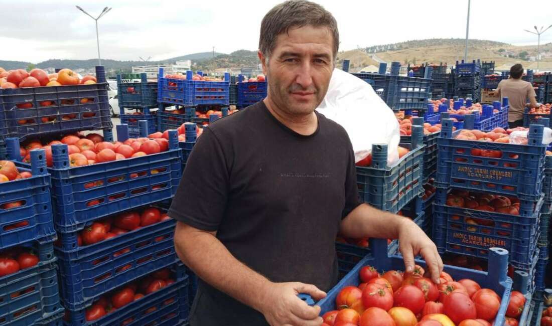 Bilecik'te kış hazırlıkları yapan