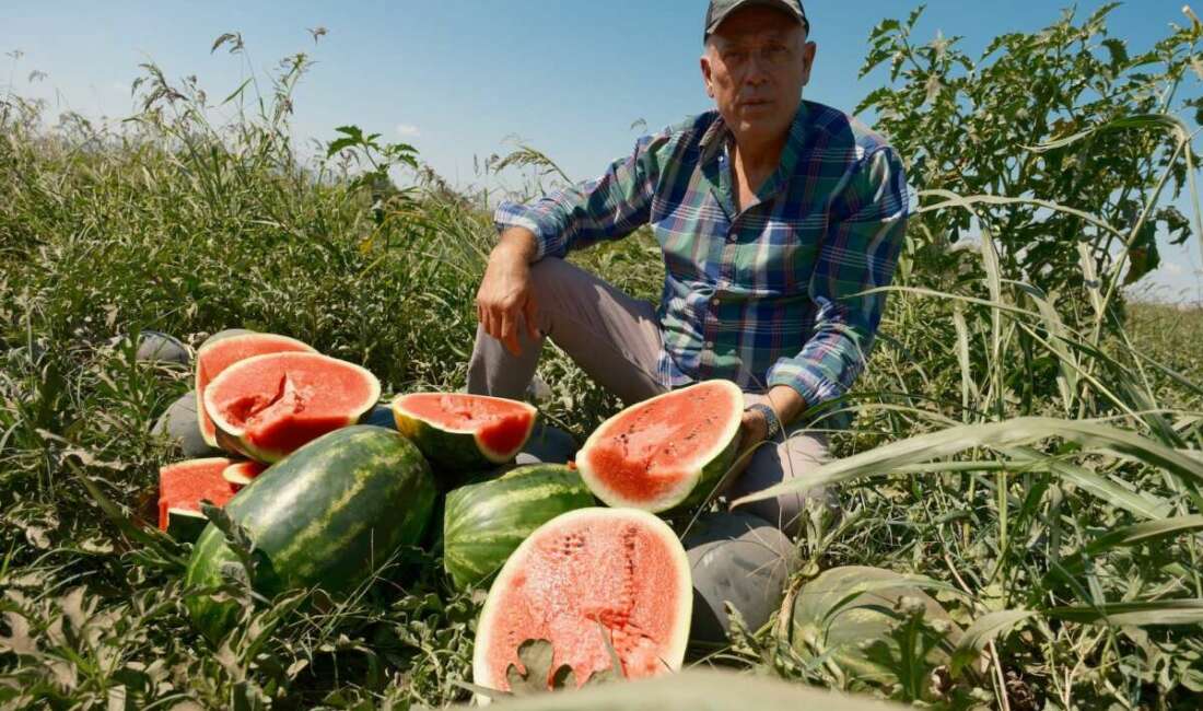 Konyalı bir firma ile