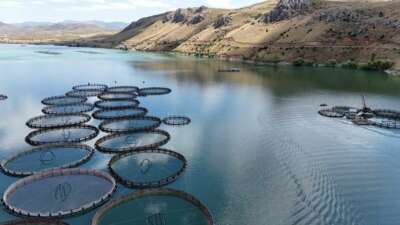 Tatlı sudan tuzlu suya daldık, AB’de lider olduk