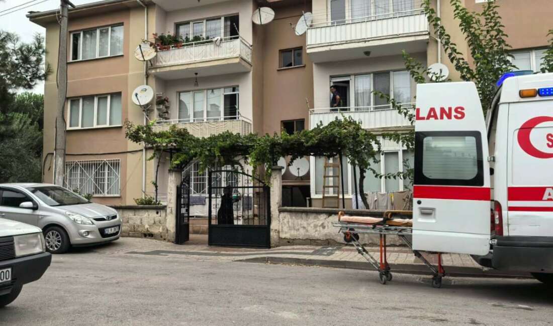 Bursa'nın İnegöl ilçesinde yalnız