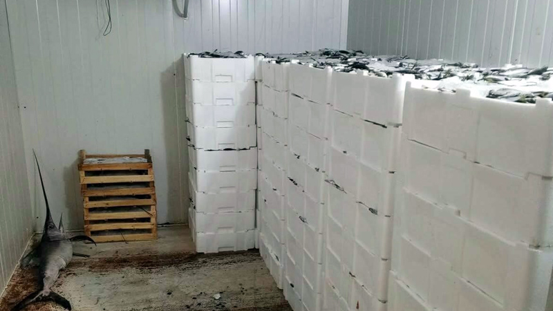 Bursa’da denetimler sıkılaştı: Kilolarca balığa el konuldu