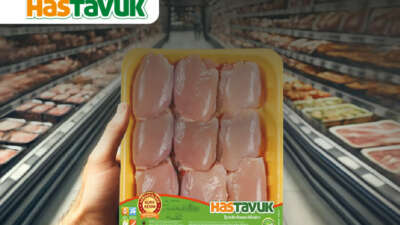 Hastavuk’a Rekabet Kurulu’ndan Rekor Ceza!