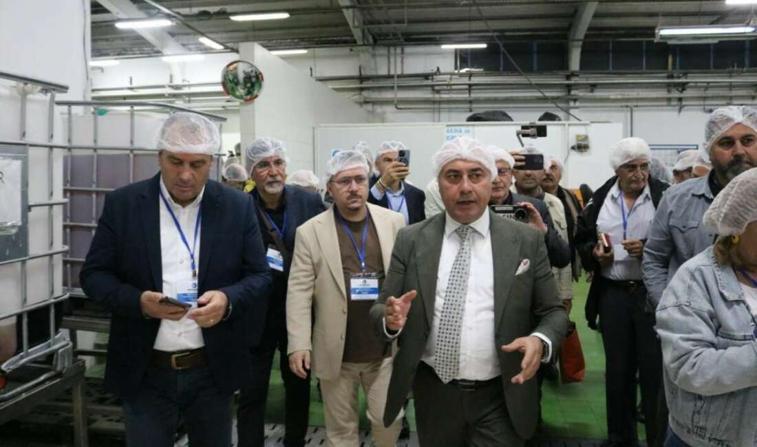 Marmarabirlik Yönetim Kurulu Başkanı