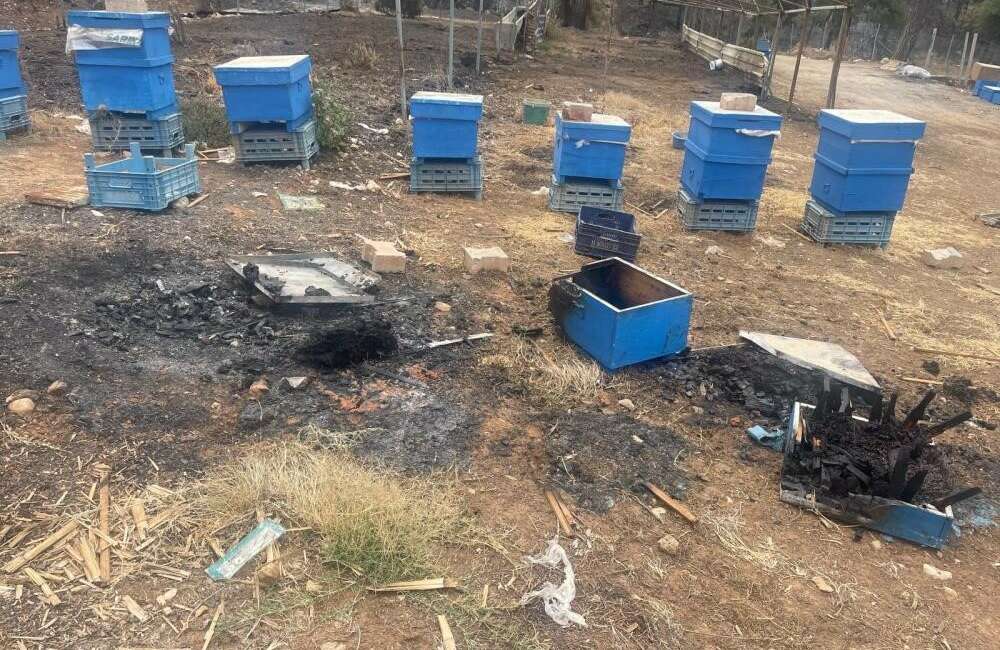 Yangın mağduru arıcılara Bursa Büyükşehirden kovan desteği Bursa Büyükşehir Belediyesi, kentin arıcılık