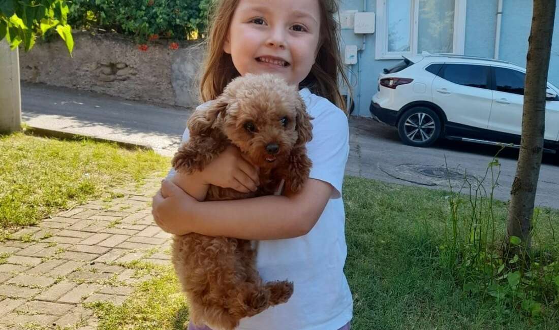 Bursa'nın İnegöl ilçesinde geçtiğimiz