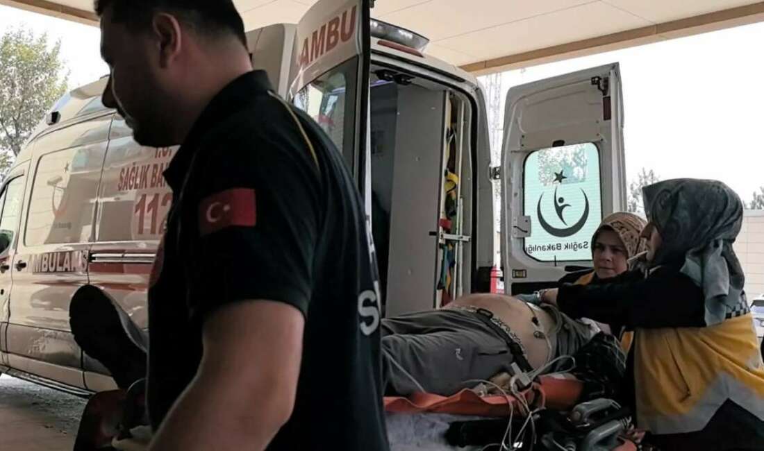 Bursa'nın İnegöl ilçesinde ceviz