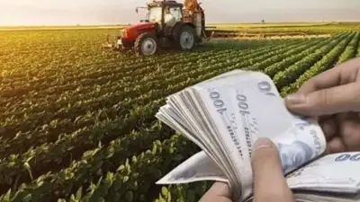 Bakan Yumaklı duyurdu: Destek ödemeleri bugün çiftçilerin hesaplarında