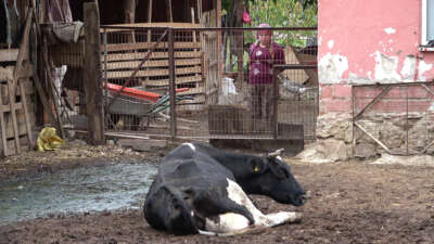 Bursa Damızlık Koyun Keçi Yetiştiricileri Birliği