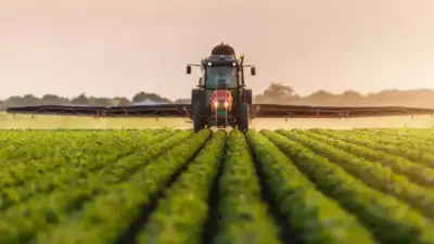 Bursa tarımına akademik bakış