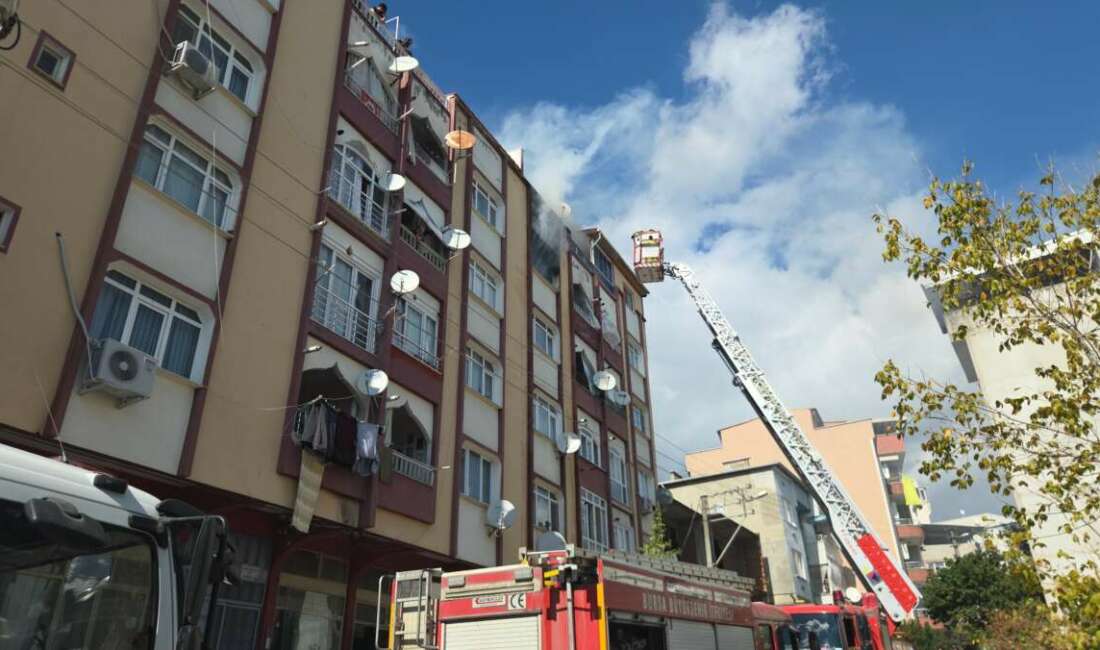 Bursa'nın Orhangazi ilçesinde 6