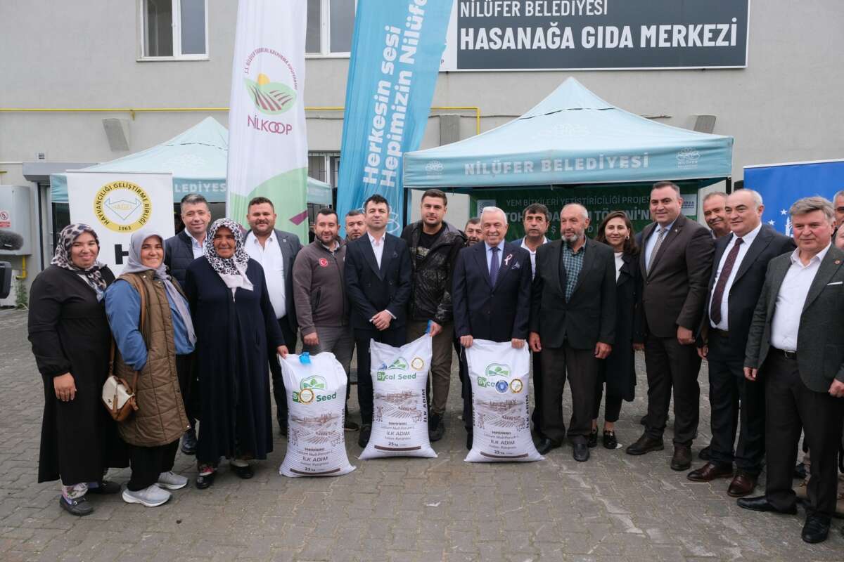 Bursa’da büyükbaşlar İtalyan çimi ile beslenecek