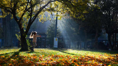 Bursa’da hafta sonu parçalı bulutlu ve puslu hava bekleniyor