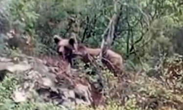 Bursa'nın Orhaneli ilçesinde bir kepçe