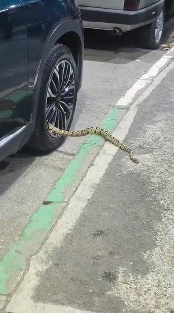 Bursa'nın Osmangazi ilçesinde park