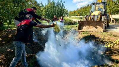 Bursa’da pestisite geçit yok