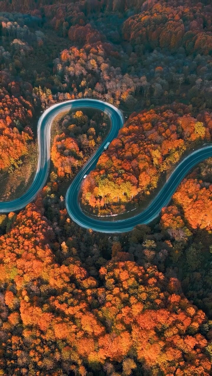 Bursa’da sonbaharla ormanlara gelen renk cümbüşü