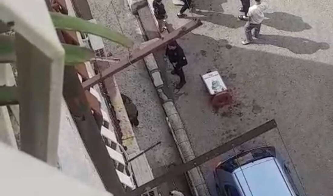 Bursa’da iddiaya göre, petshopta