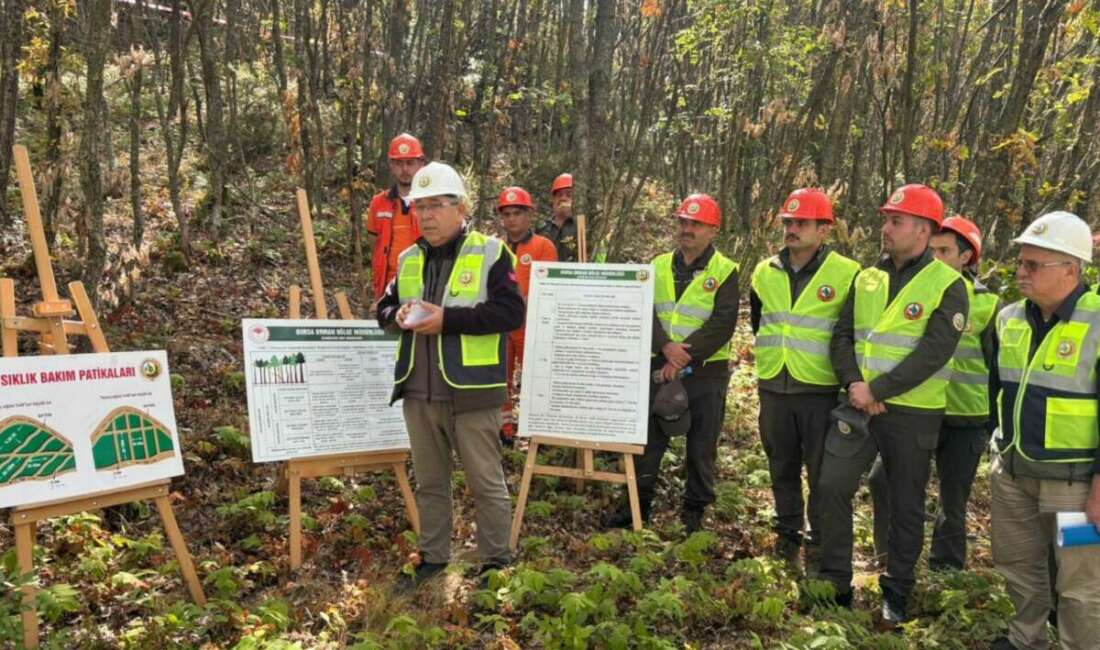 Bursa Orman Bölge Müdürlüğü