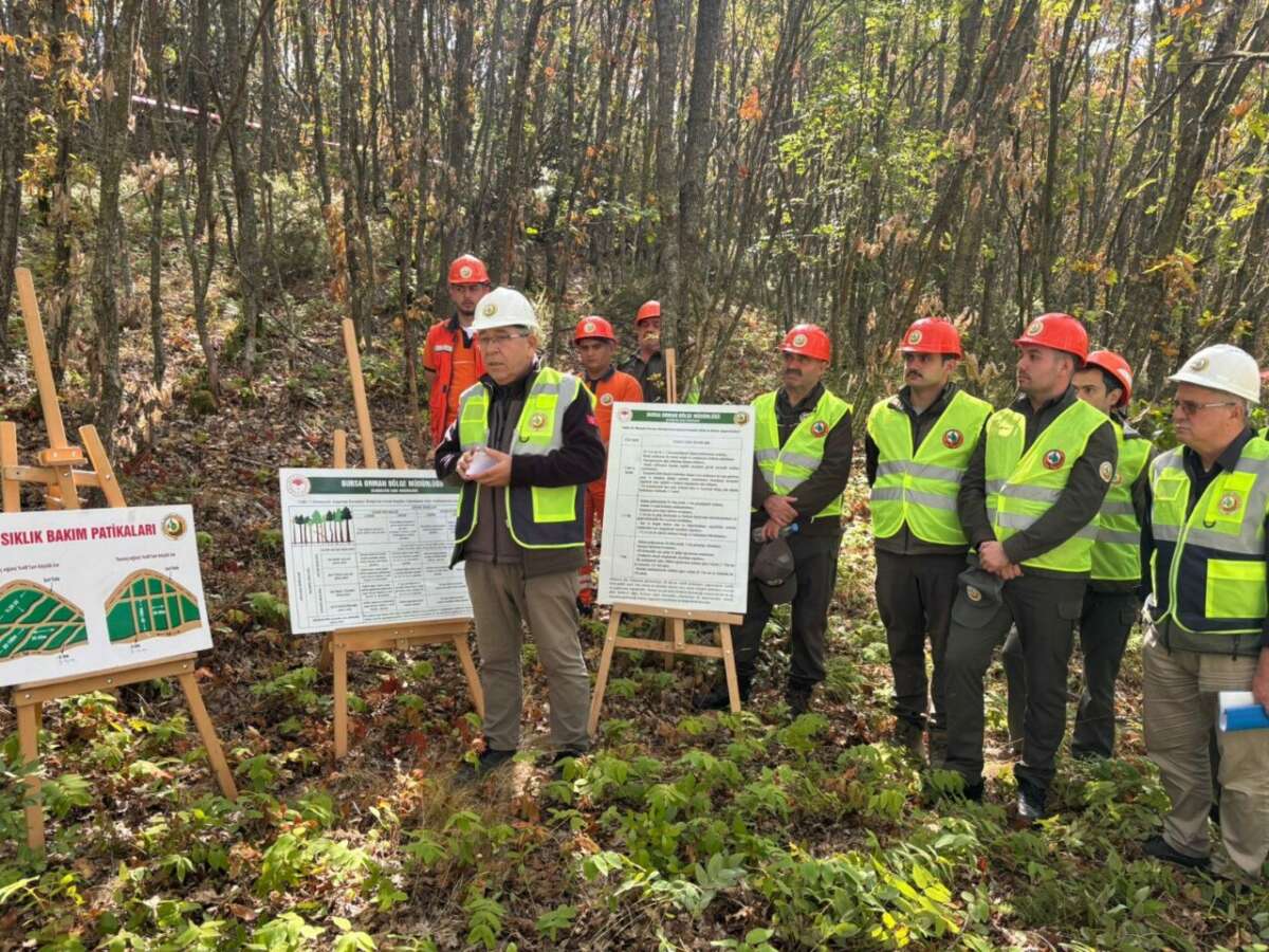 Bursa’da uygulamalı orman bakım teknikleri eğitimi başladı