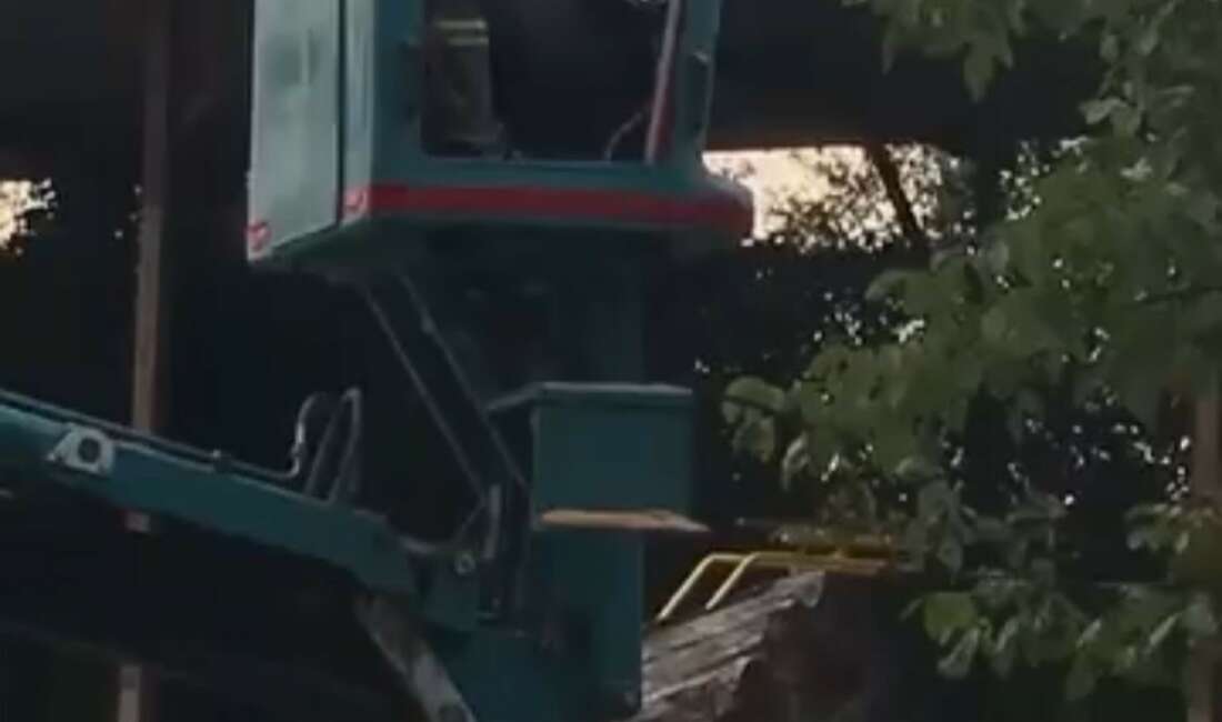 Bursa’da vinç üstünde “arı alarmı” Bursa'da vinç üzerinde çalışan