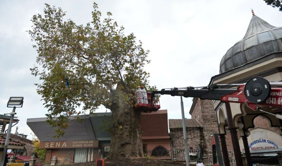 Bursa Ulu Cami’nin avlusunda