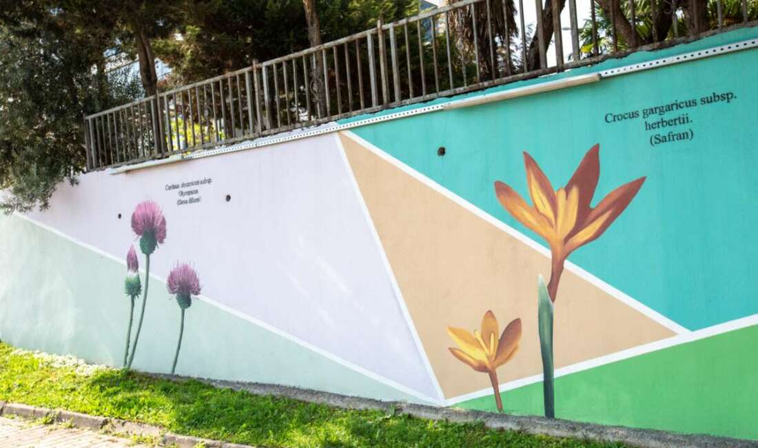 Bursa Büyükşehir Belediyesi, kentin