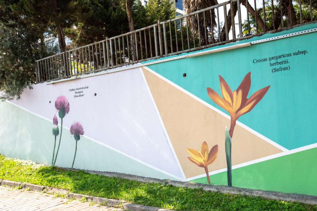 Bursa’nın hazineleri duvarları güzelleştiriyor