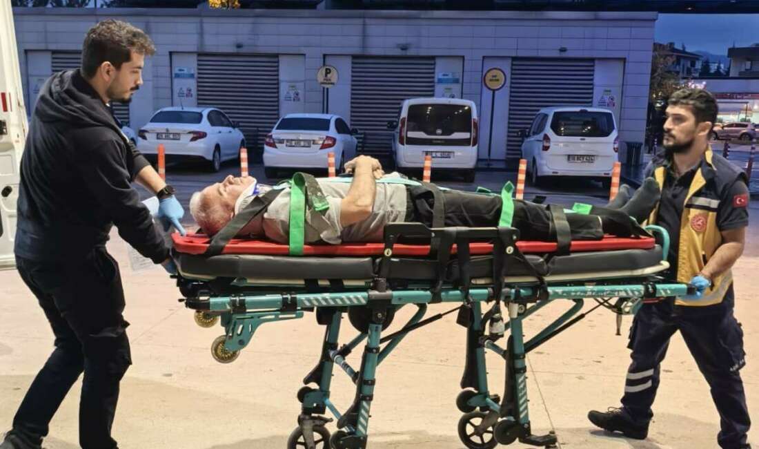 Bursa'nın İnegöl ilçesinde ceviz