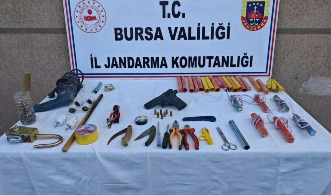 Bursa'nın Kestel ilçesinde ormanlık