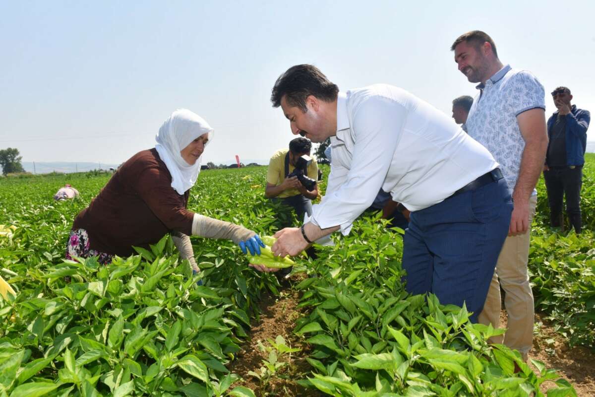 Dünya gıda pazarında Türkiye’nin ürünleri yer alacak