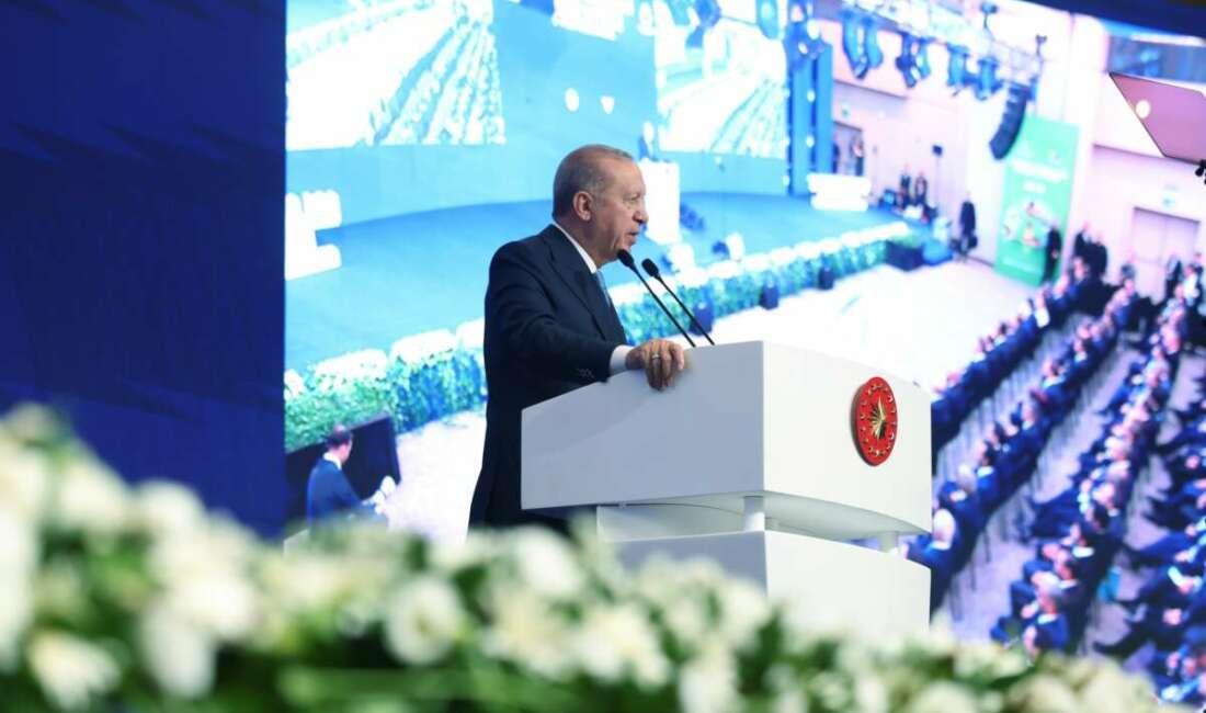 Cumhurbaşkanı Recep Tayyip Erdoğan, Enerji