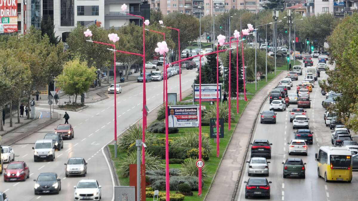 Erken teşhis için sokak lambaları pembe yanıyor